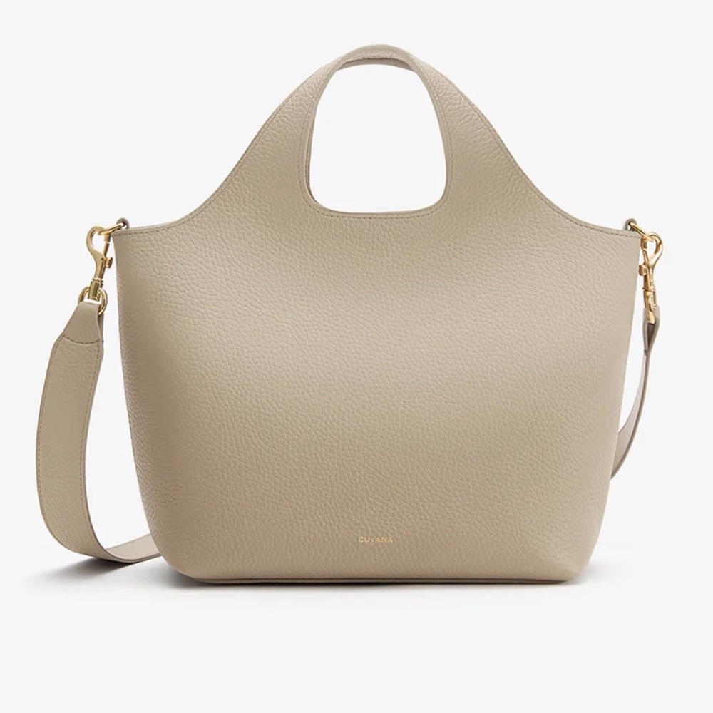Cuyana Mini System Tote